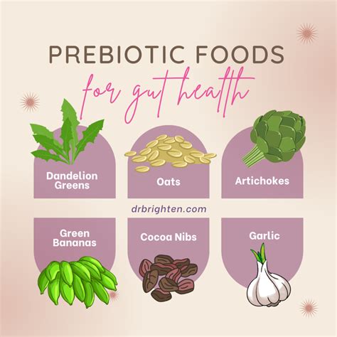 Unlocking Gut Health: What is a Prebiotic and How Can It Transform Your Wellbeing?