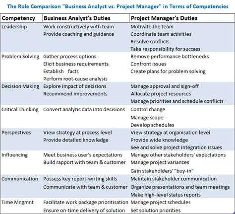 what is a project analyst