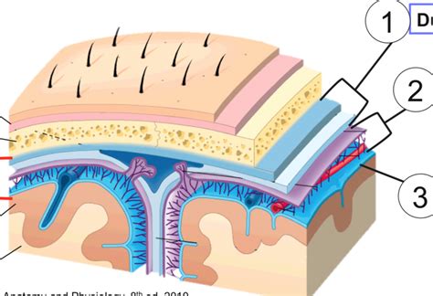 What Is A Protective Layer