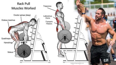 What Is A Rack Pull Exercise