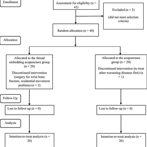 what is a randomized controlled pilot study