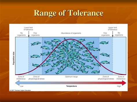 What Is A Range Of Tolerance