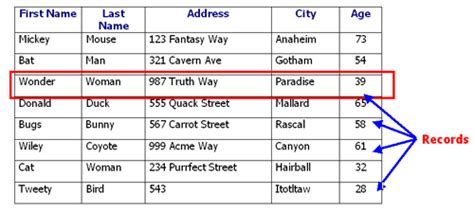 what is a record in database with example