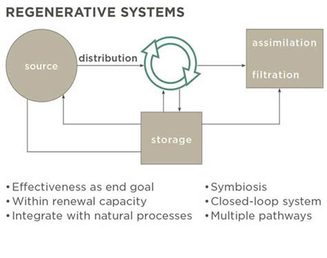 What Is A Regenerative System