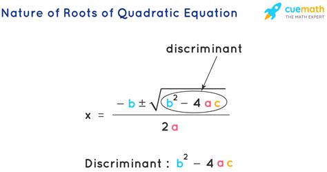 what is a root in math quadratic equation