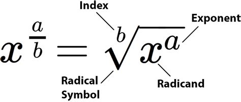 what is a root in mathematics