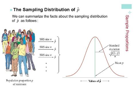 what is a sampling distribution in simple terms