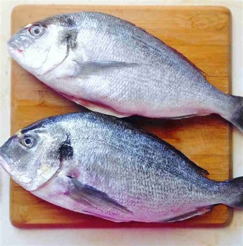 what is a sea bream