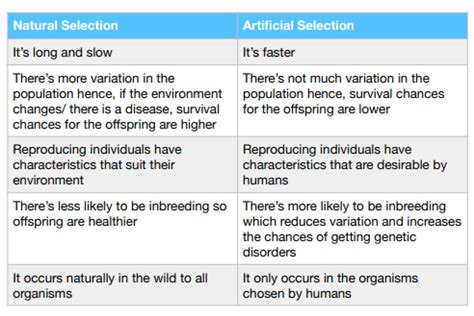 what is a selective advantage in biology