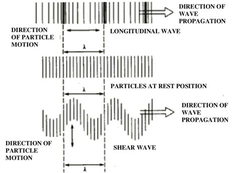 What Is A Shear Wave In Physics