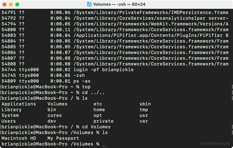 what is a shell computer science