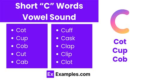What Is A Short In C