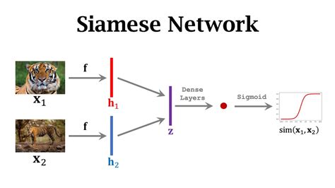 what is a siamese network