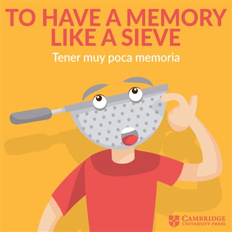What Is A Sieve Memory