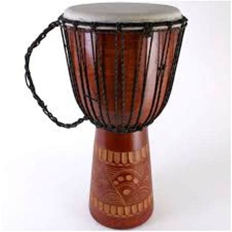 What Is A Single Bongo Drum Called