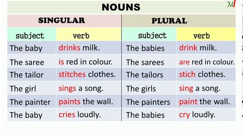 what is a singular verb examples