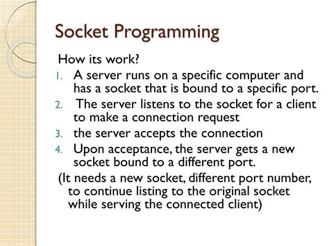 what is a socket in programming