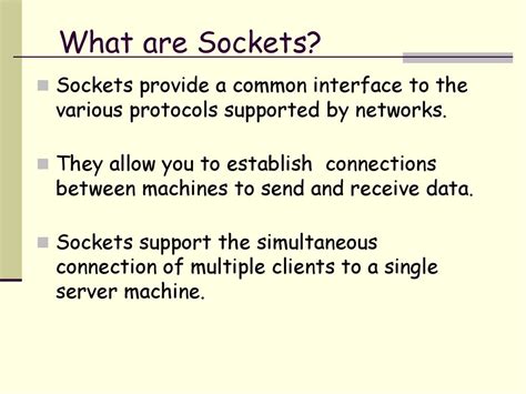 what is a socket in software