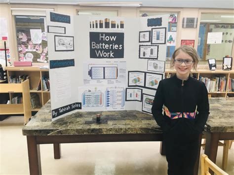 what is a summary in a science fair project