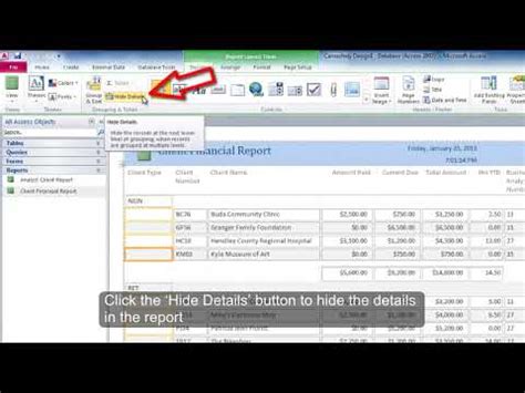 what is a summary report in access