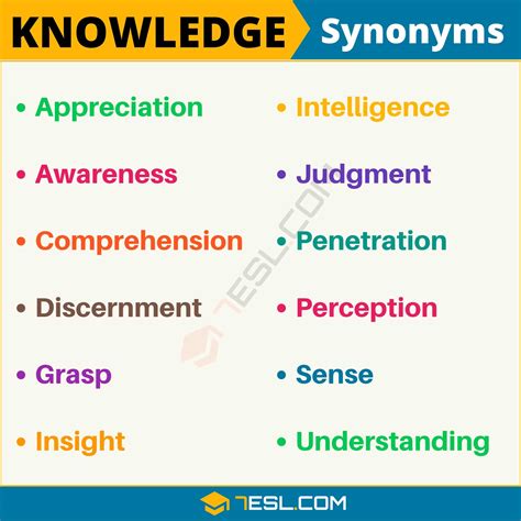 what is a synonym for knowledge and understanding