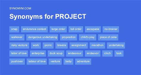 what is a synonym for projects