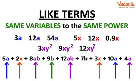what is a term in algebra examples