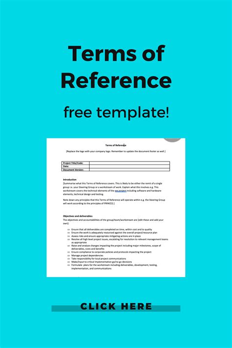 what is a terms of reference document