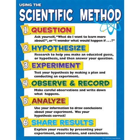 what is a theory in science quizlet