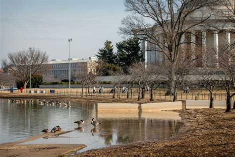 what is a tidal basin used for