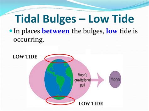 what is a tide bulge
