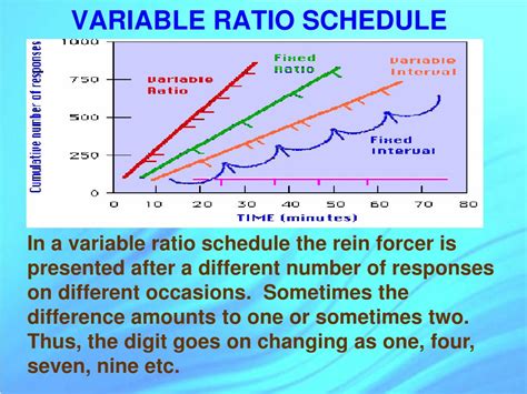 what is a variable ratio reinforcement schedule