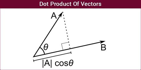 what is a vector dot a vector