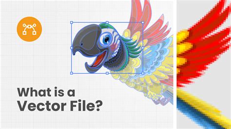 What Is A Vector File In Photoshop