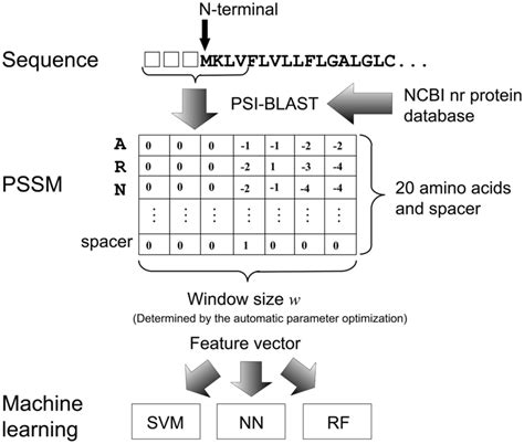 what is a vector in machine learning
