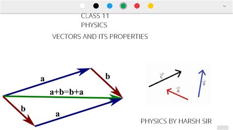 what is a vector in physics class 11
