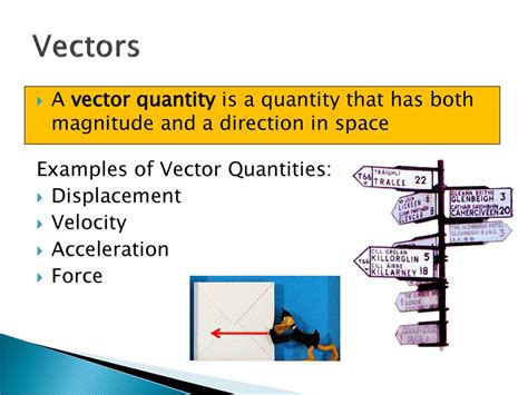what is a vector quantity example