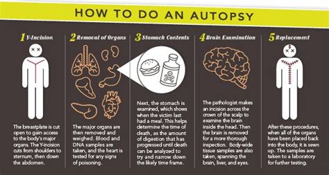 What Is A Visual Autopsy