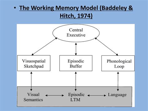 what is a weakness of the working memory model