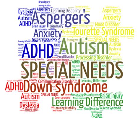 what is additional needs examples