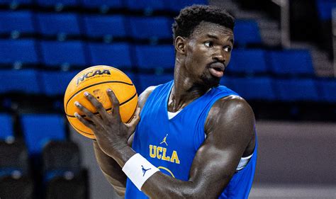 Uncovering the Mystery: What is ADEM and How Does it Affect the Body?