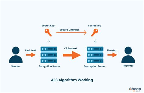 what is aes algorithm in cryptography