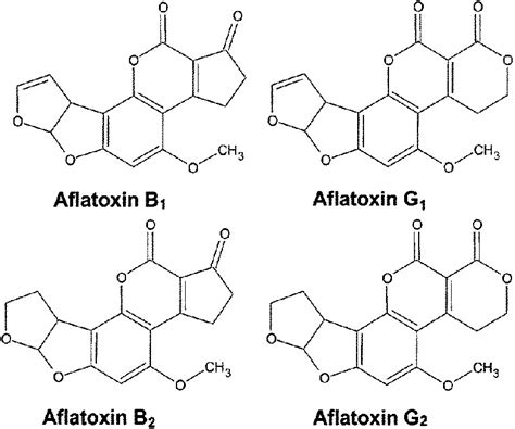 what is aflatoxin b2