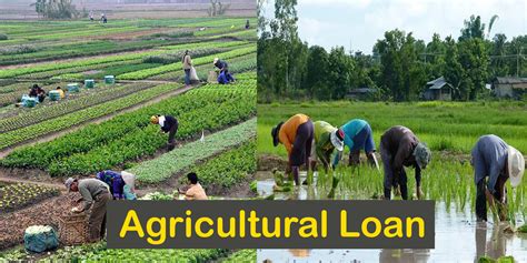 what is agriculture loan