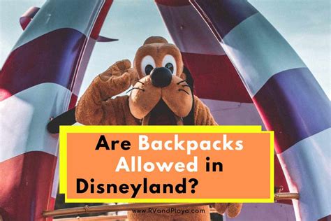 what is allowed in disneyland