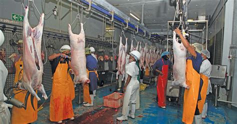what is an abattoir worker