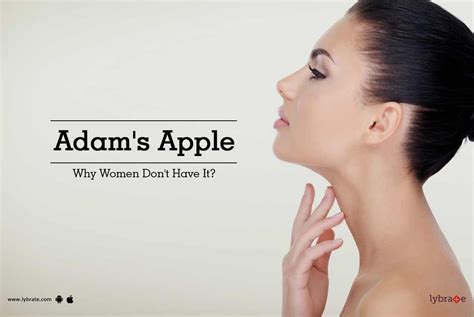 what is an adam's apple and why don t women have it