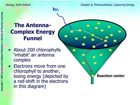What Is An Antenna Complex