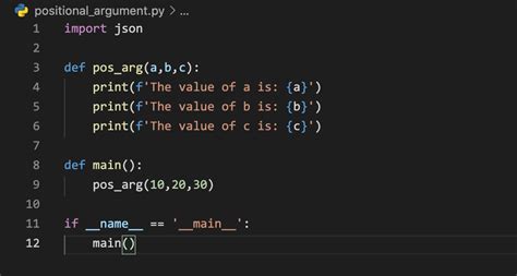 what is an argument in coding example