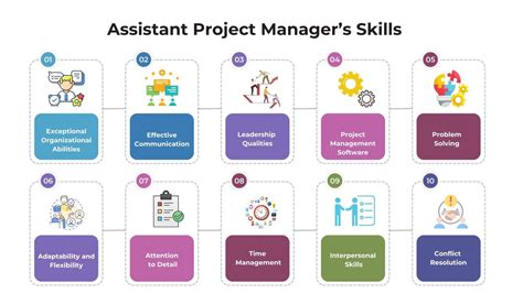 what is an assistant project manager